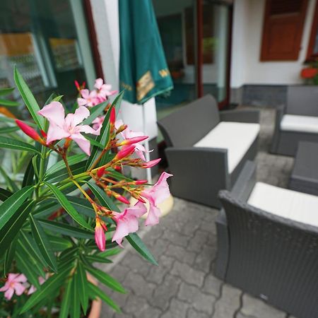 Landhotel Gasthof Zwota Klingenthal Exterior photo